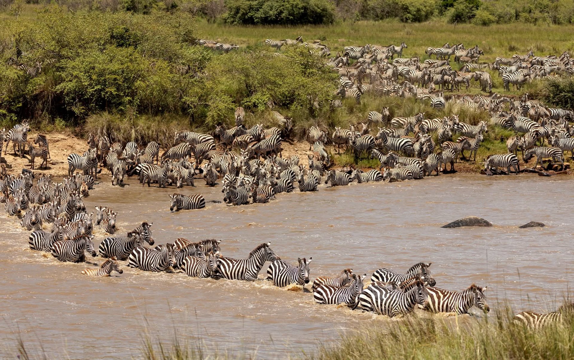 Understanding the Great Migration: Where to Be and When