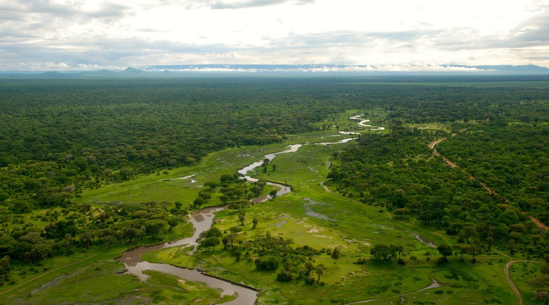 Katavi National Park safari