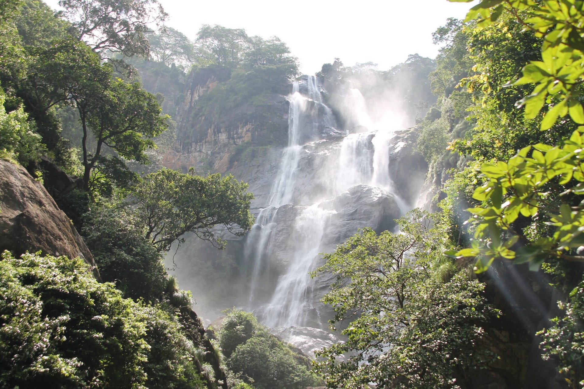 Udzungwa Mountains National Park safari