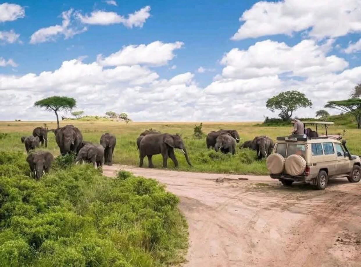 CULTURE AND WILDLIFE SAFARI AND ZANZIBAR