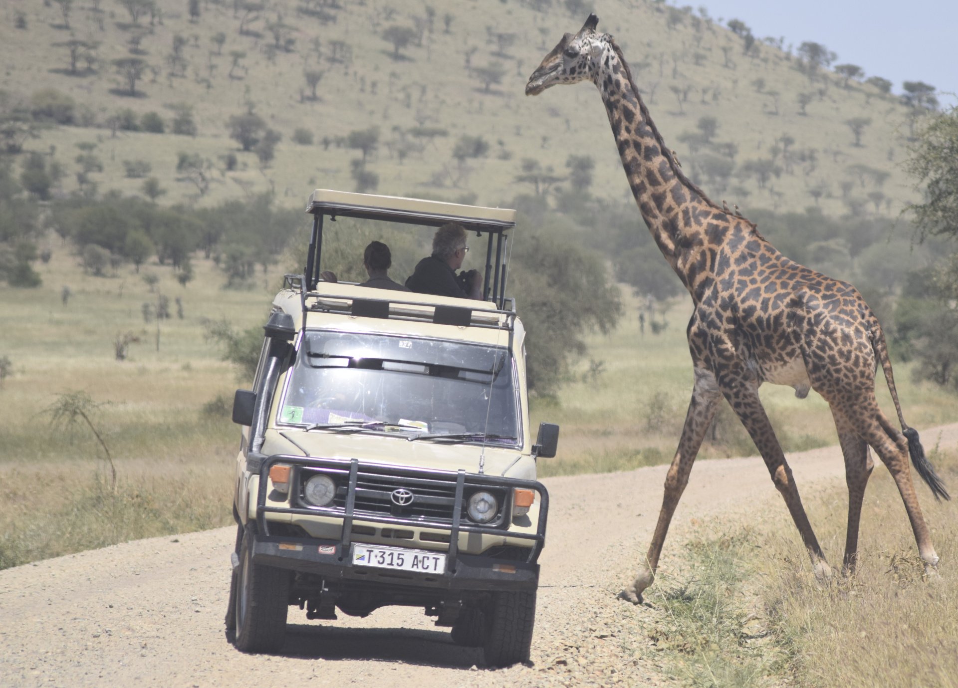 5-Day Tanzania Safari by Road | Tarangire, Serengeti & Ngorongoro