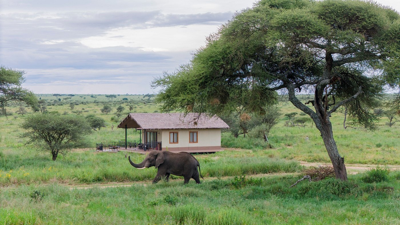 5 Days Tanzania Group Joining Safari – Low Season Special