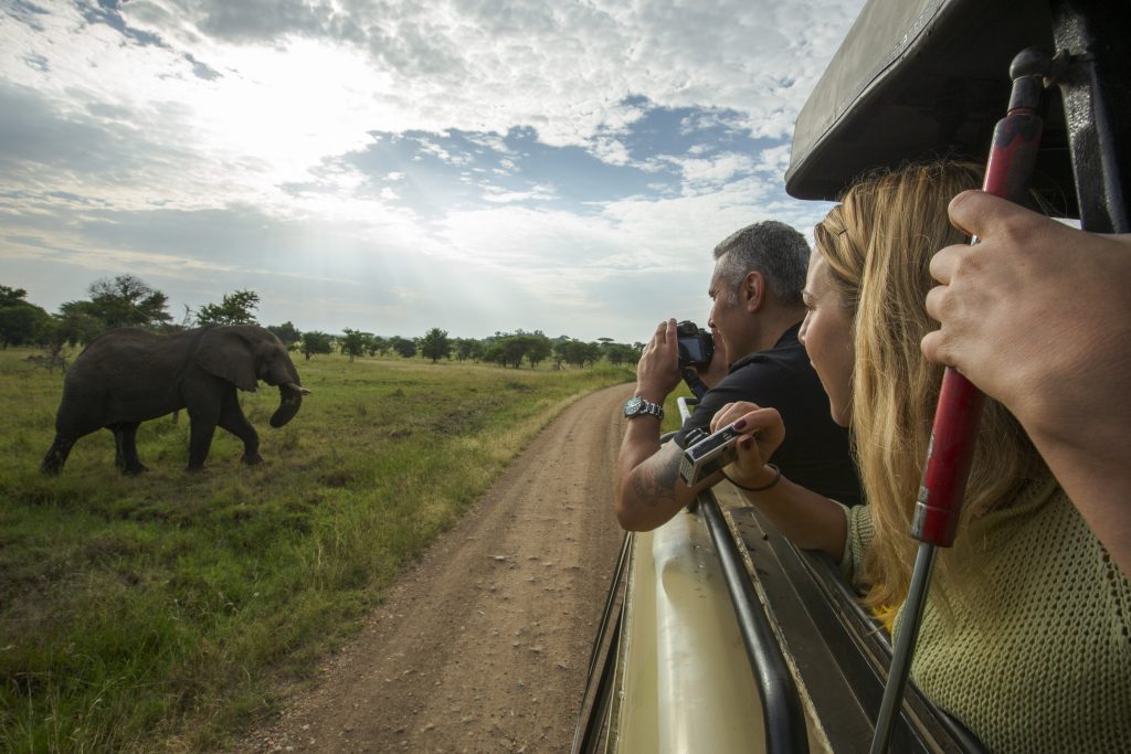 Tanzania Safari Adventure • The Ultimate Safari Experience